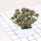 프리티플 다육이 선인장 모형 화분 CR-05