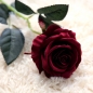 로즈가든 벨벳 장미 조화(와인)