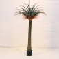 드라세나 드라코 조화(160cm)