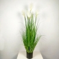 팜파스그라스 갈대 조화(화이트)(120cm)