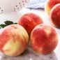 [초록자연] 딱딱이 복숭아 3kg(9-12과)(중)